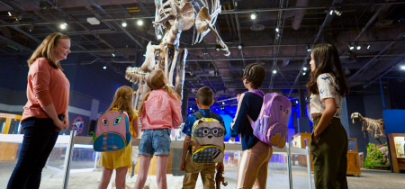 A group of children gazes in awe at a dinosaur skeleton displayed in a museum exhibit, showcasing their fascination with paleontology.